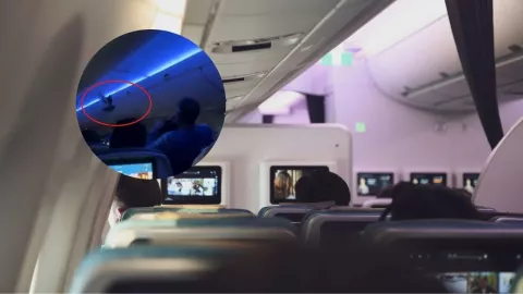 Despegue con retraso por paloma: Avión Delta (video)