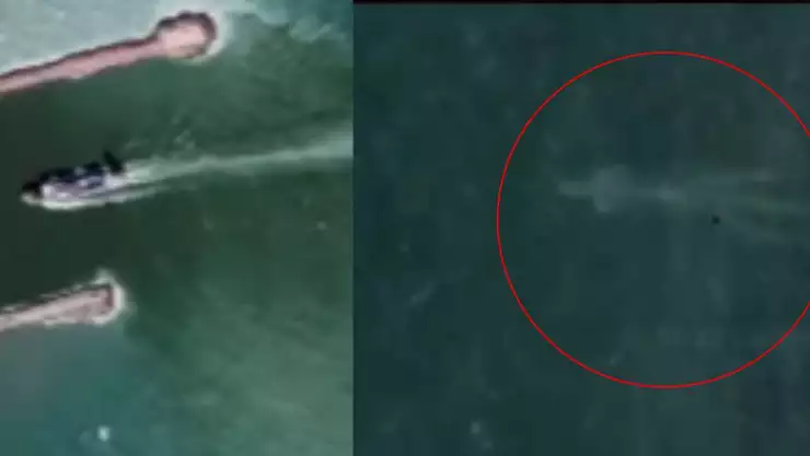 VIDEO_ Captan presunto ‘monstruo marino’ en playa de México, ¿De qué se trata_.jpg