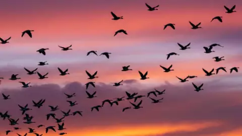 Efemérides del 8 de mayo_ ¿Qué pasó un día como hoy_.jpg