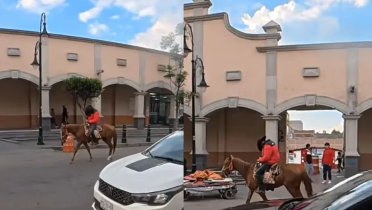caballo automatico