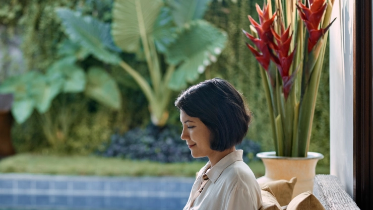 Estas son la mejores plantas para las buenas energ&iacute;as