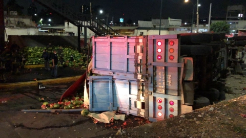 tráiler sandías Observatorio