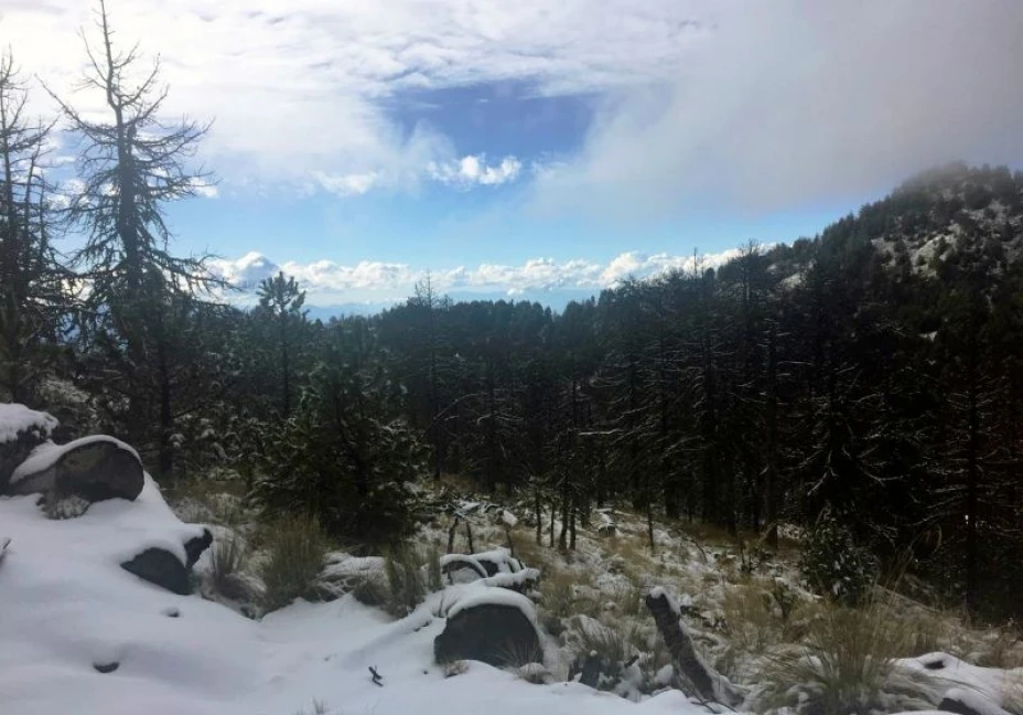 FRENTE FRIO NEVADAS
