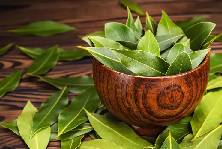 El significado de poner una hoja de laurel dentro de los zapatos