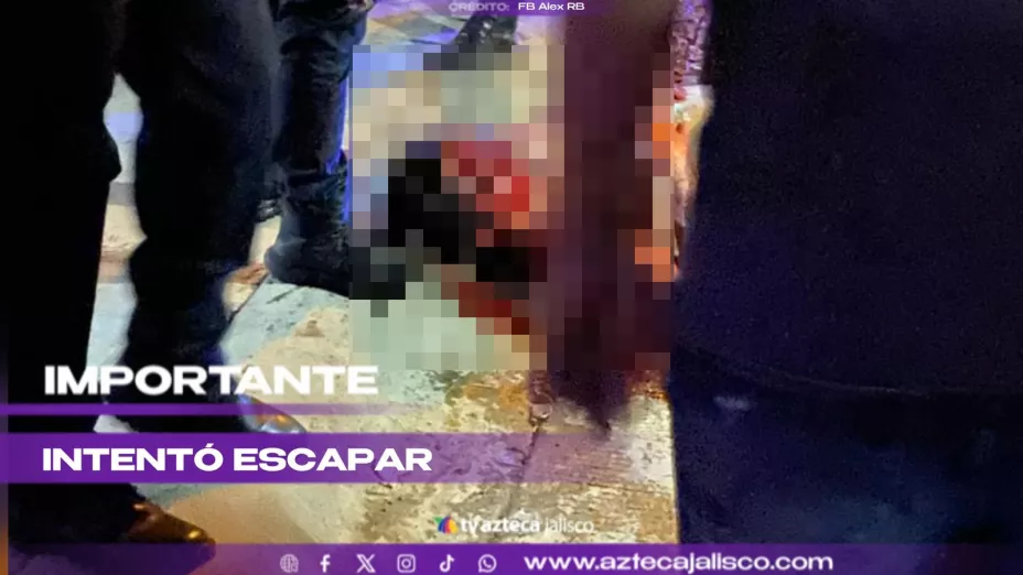 WhatsApp Image 2025-11-16 at 12.59.18 PM.jpeg