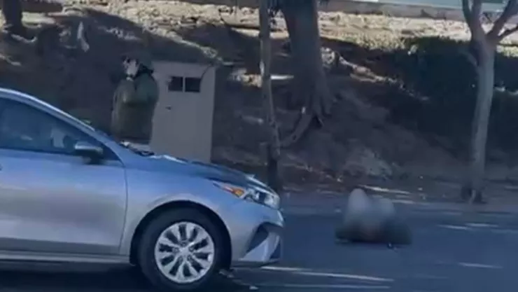 ¿Qué pasó en las garitas de Tijuana hoy martes 14 de enero de 2025?