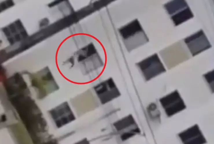 Policía arroja al amante de su esposa en Brasil