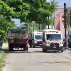 ¡Tragedia-en-Mérida_-Ataque-de-abejas-deja-una-mujer-muerta-y-dos-personas-lesionadas.webp