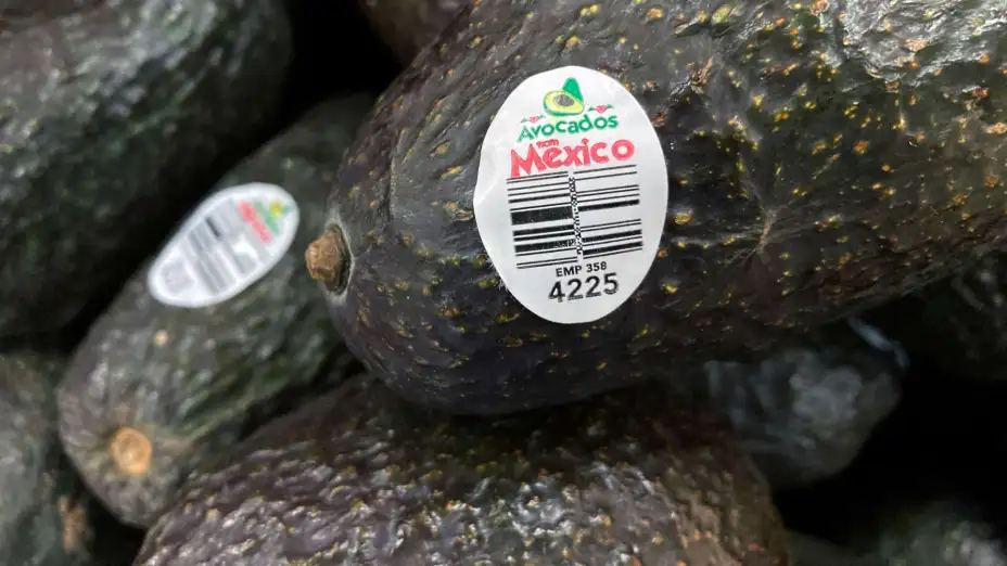 Aguacates mexicanos en venta en Lyndhurst, Nueva Jersey.