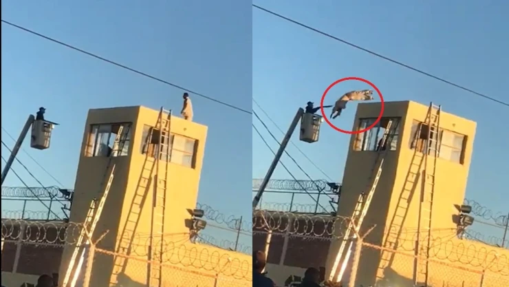Reo se avienta en Cereso de Agua Prieta Sonora