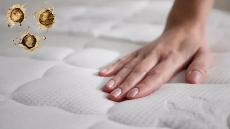 El truco más efectivo para eliminar fácilmente las manchas de los colchones.jpg