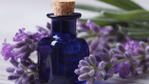 aceite lavanda