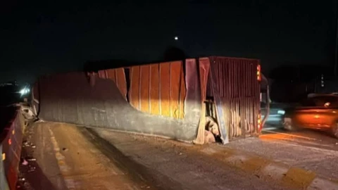volcadura camión cerditos autopista méxico puebla