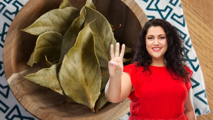 No tires las hojas secas de laurel: 3 formas de reutilizarlas de una forma útil en el hogar