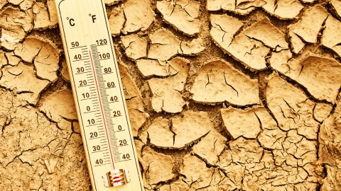 Clima en Michoacán para este miércoles 12 de febrero, aquí el pronóstico por municipio.png