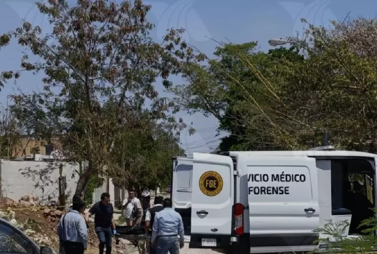 VIDEO_ Encuentran cuerpo sin vida en un terreno de El Porvenir