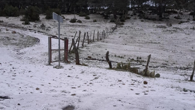 Qué es aguanieve y cuál es su diferencia con la nieve.jpg