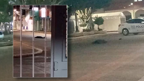 Hombres muertos balazos Ocozocoautla