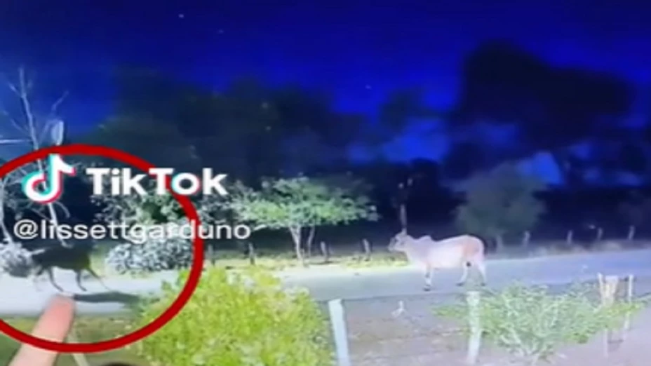 Captan al Charro Negro cabalgado