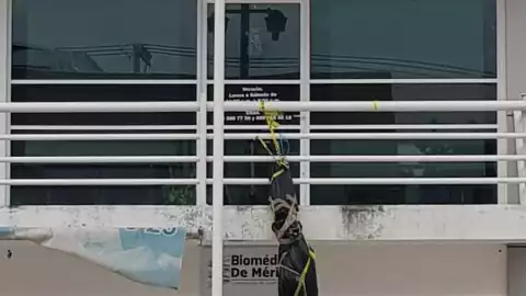 decoracion halloween embolsado