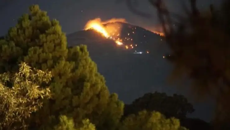 INCENDIOS.jpeg