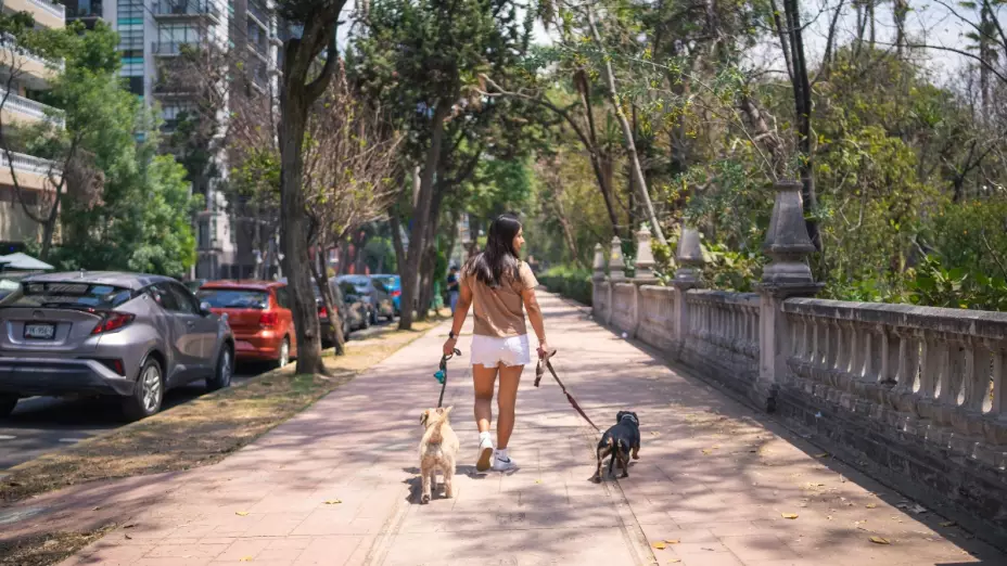 vacaciones - verano - 2023 - jovenes - trabajo
