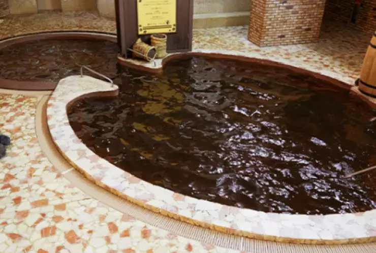 alberca de café - día del café