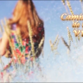 IMAGEN 14 (11).png
