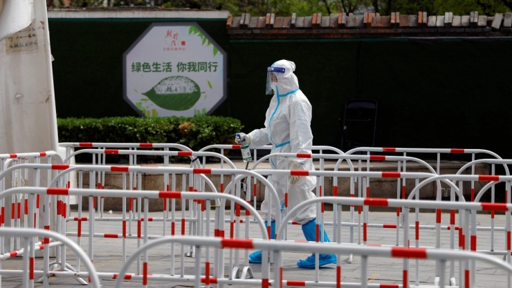 que es gripe aviar h3n8 china