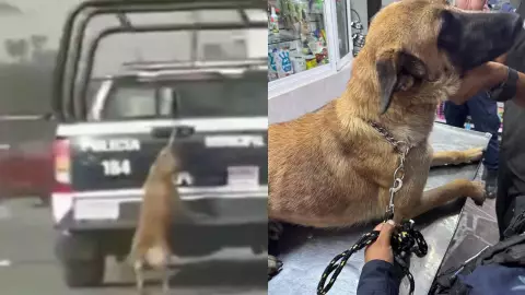 Patrulla de policía arrastra a perrita en Tizayuca; esto fue lo que pasó _VIDEO