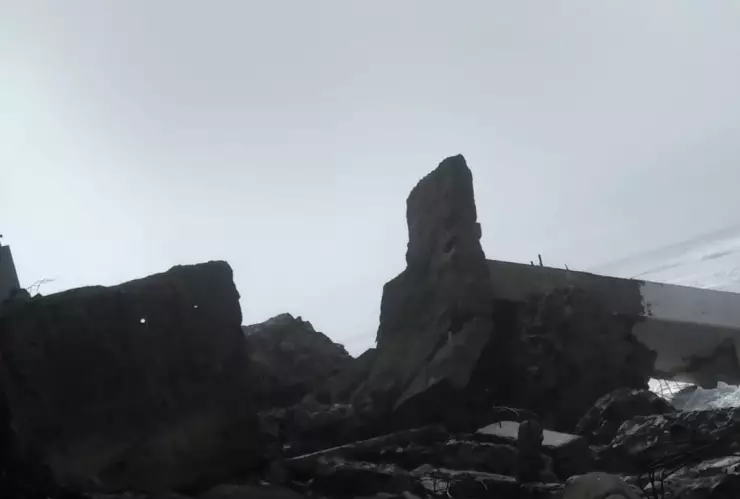 Aparecen animales sin cabeza en Playas de Tijuana ¿Qué es lo que se sabe (FOTO)?