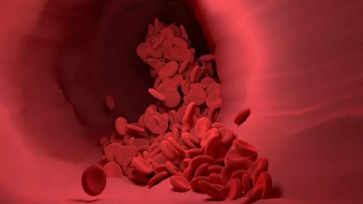 Esta es la planta que controla la sangre del cuerpo