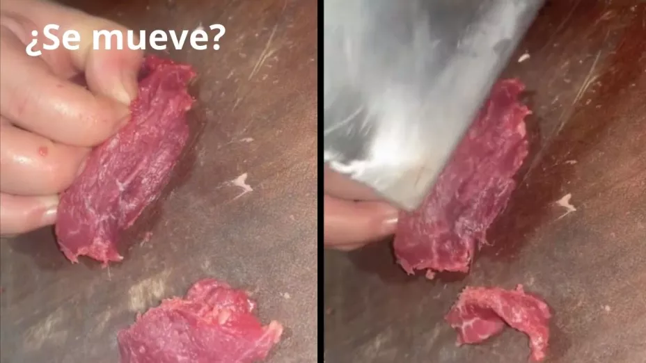 ¿Sigue con vida? Captan pedazo de carne moviéndose mientras es cortado (VIDEO)