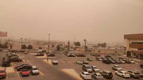 WhatsApp Image 2025-02-11 at 5.08.01 PM.jpeg