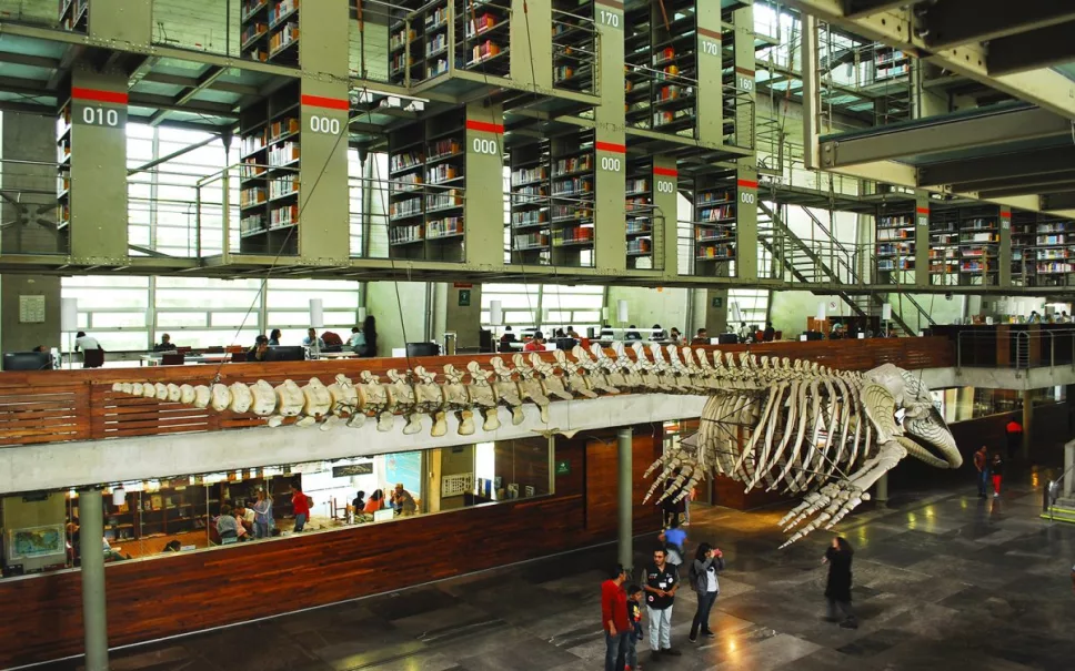 biblioteca-vasconcelos-por-dentro.jpg