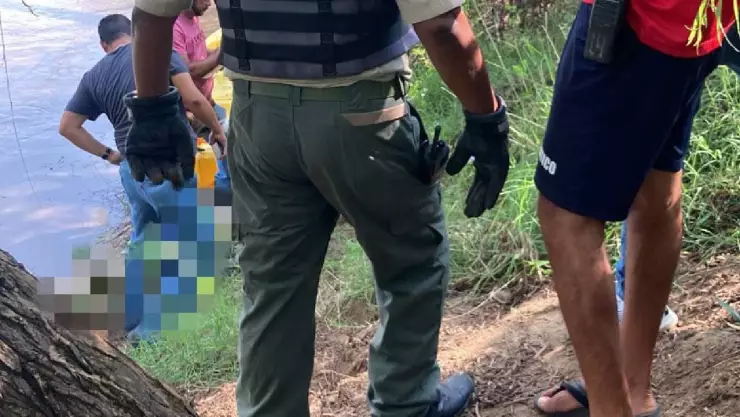 VIDEO: Cocodrilo paseaba con cuerpo humano en Puerto Vallarta