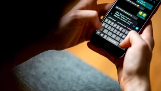 Modo agenda WhatsApp