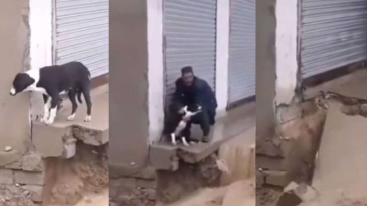 hombre rescata perrito.jp