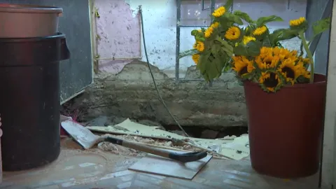 El socavón en el Mercado de Flores de Guadalajara apareció debajo del edificio y abarcó tres locales