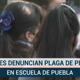 plaga piojos Puebla.jpg
