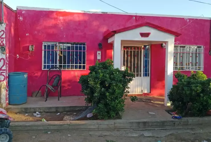 Cateo colonia Reforma Chihuahua