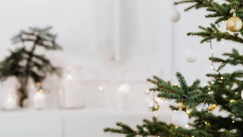 árbol de navidad (3).png