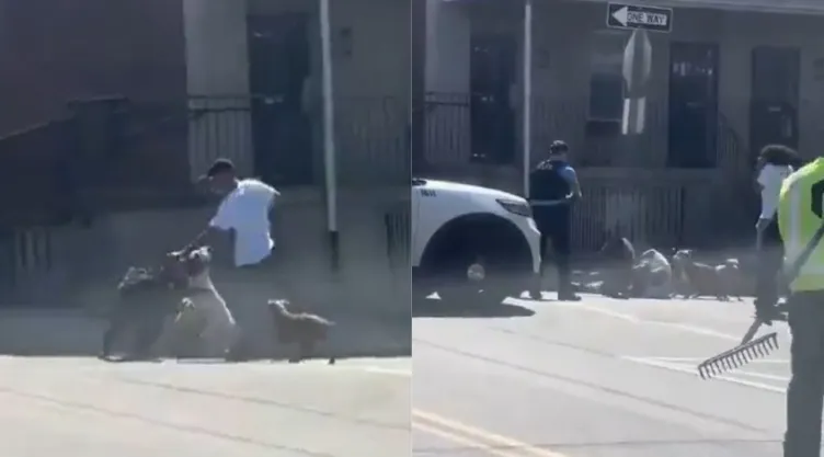 policia-eu-dispara-contra-manada-perros-mata-atacaban-hombre.jpg