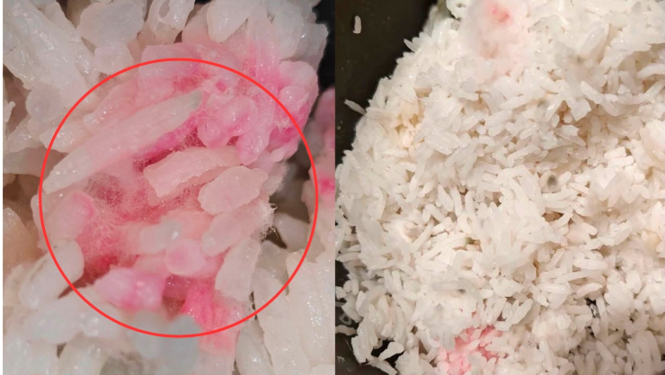 Advierten por consumo de arroz