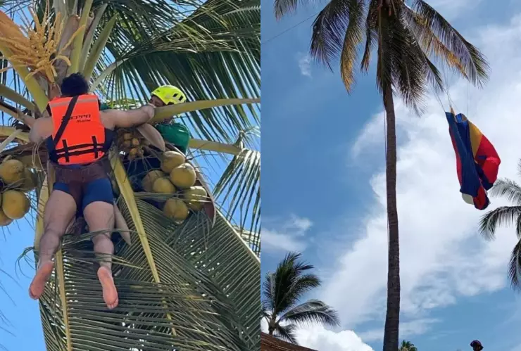 ¡A 8 metros de altura! Paracaidista queda atrapado en una palmera en Bahía Banderas
