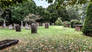 Día de Muertos 2025