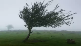 Vientos fuertes en BC