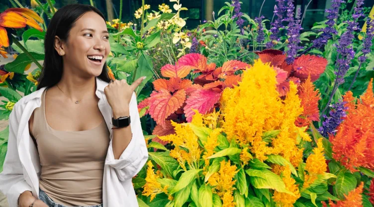 ¿Cuáles serán las tendencias en plantas este 2026?