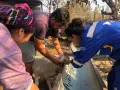 HAYTAP recoge a animales heridos por los incendios en Turquía