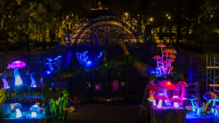 ¿Cuándo es SPORA 2025 El festival de hongos en el Bosque de Chapultepec?